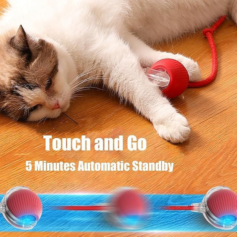 Interactive Rolling Dog Smart Ball - 360° Automatic Rotating Toy for Dogs & Cats (Red+Green)