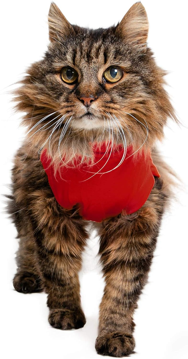 Medical Pet Shirt per Gatti, Rosso, XXS
