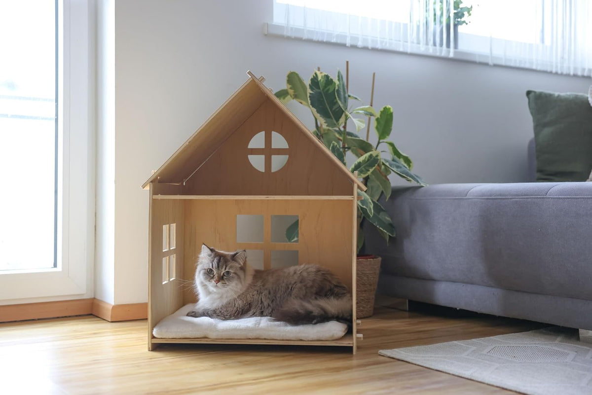 Casetta Gatti Yvi, Indoor, 50X38X67 Cm