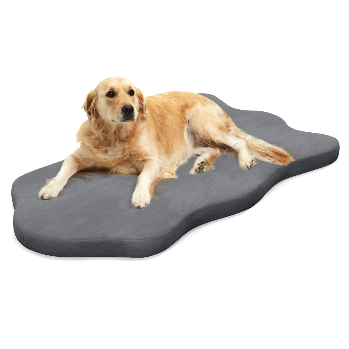 Cuscino per Cani Impermeabile, Cuscino Ortopedico per Cani Con Supporto in Memory Foam Copertura Rimovibile 2 Colori