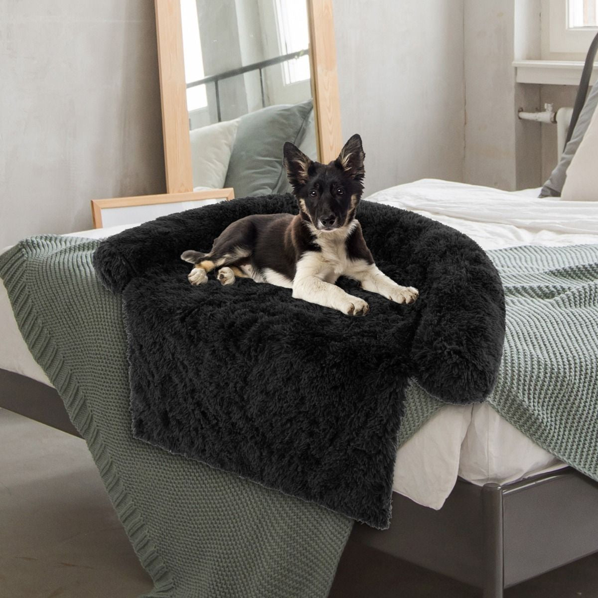 Cuccia per Cani in Peluche Con Fondo Antiscivolo Copertura Rimovibile E Lavabile, Letto Divano per Cani O Gatti 2 Colori 3 Dimensioni