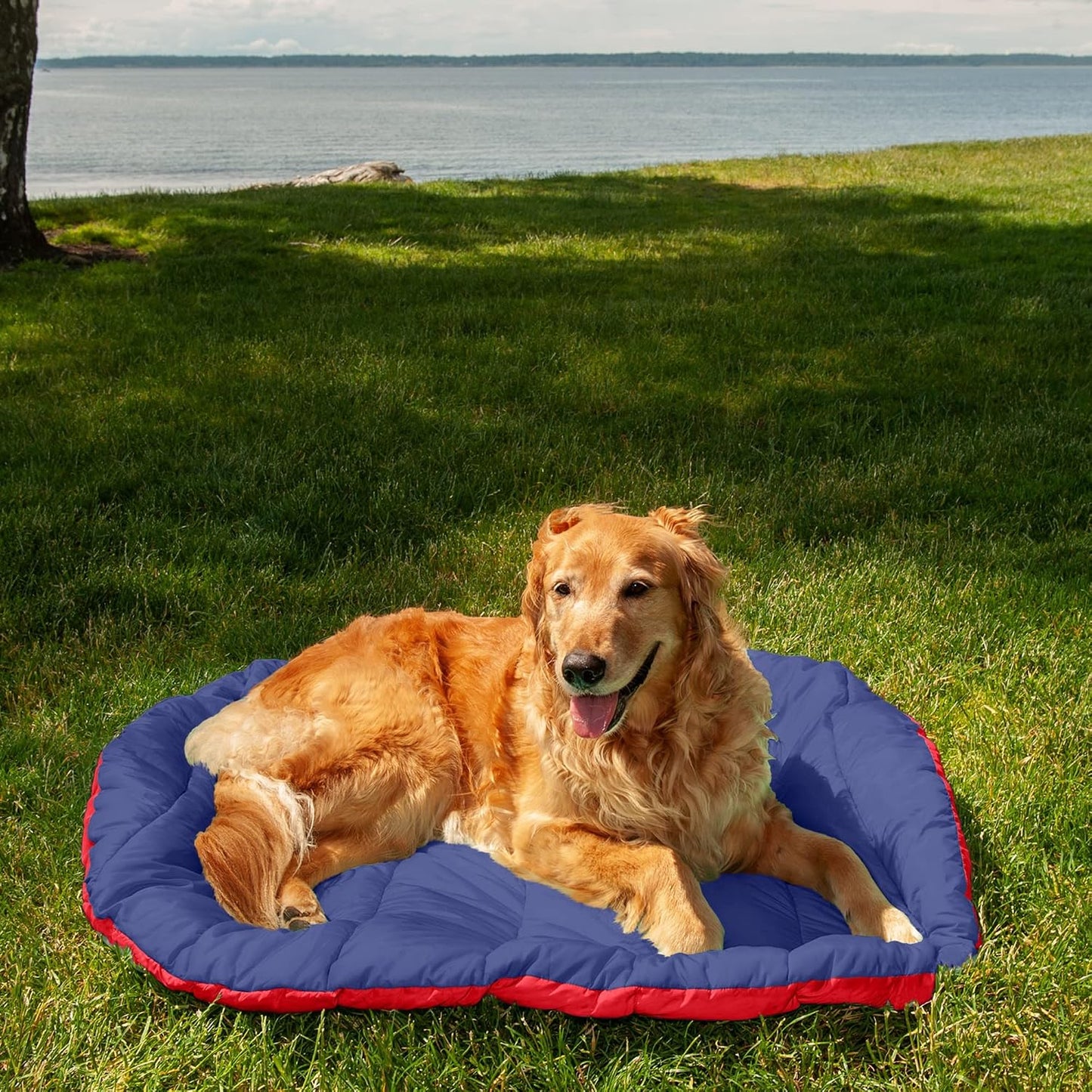 Large Dog Bed Trail Pup Travel Pillow Mat W/Stuff Sack, Washable - Flame Red/True Blue, Large