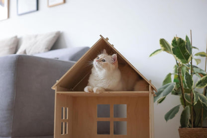Casetta Gatti Yvi, Indoor, 50X38X67 Cm