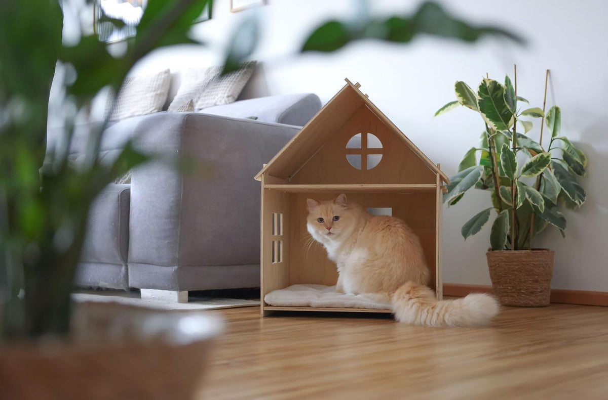 Casetta Gatti Yvi, Indoor, 50X38X67 Cm