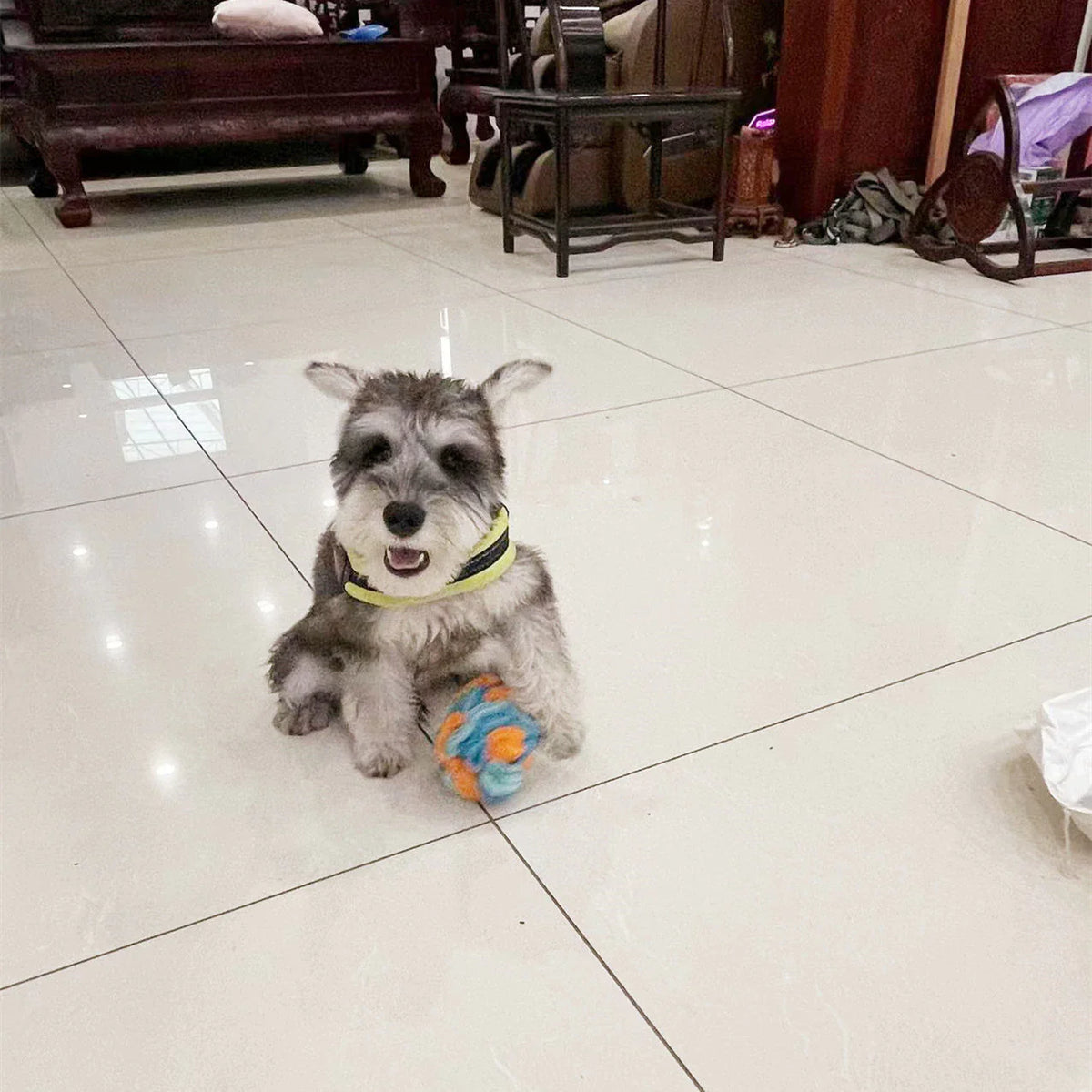 Snuffle Ball Dog Puzzle Toys Increase IQ Slow Dispensing Feeder Pet Cat Training Games Feeding Feeding Food Intelligence Toy