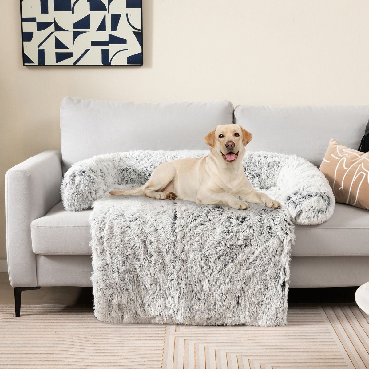 Cuccia per Cani in Peluche Con Fondo Antiscivolo Copertura Rimovibile E Lavabile, Letto Divano per Cani O Gatti 2 Colori 3 Dimensioni