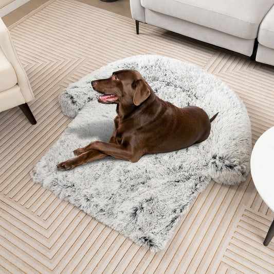 Cuccia per Cani in Peluche Con Fondo Antiscivolo Copertura Rimovibile E Lavabile, Letto Divano per Cani O Gatti 2 Colori 3 Dimensioni