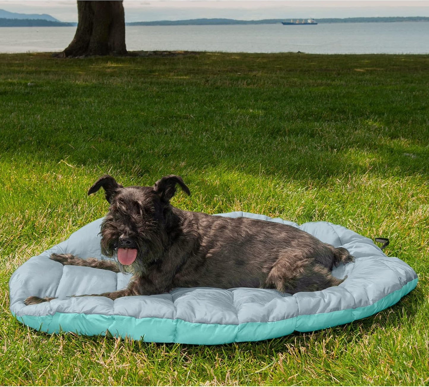 Small Dog Bed Trail Pup Travel Pillow Mat W/Stuff Sack, Washable - Aqua/Granite Gray, Small