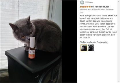 Olio per La Cura Della Pelliccia Di Cani E Gatti – Senza Risciacquo, Rimuove Grovigli E Dona Lucentezza, Arricchito Con Collagene E Oli Naturali, 30 Ml (Fragranza Delicata)