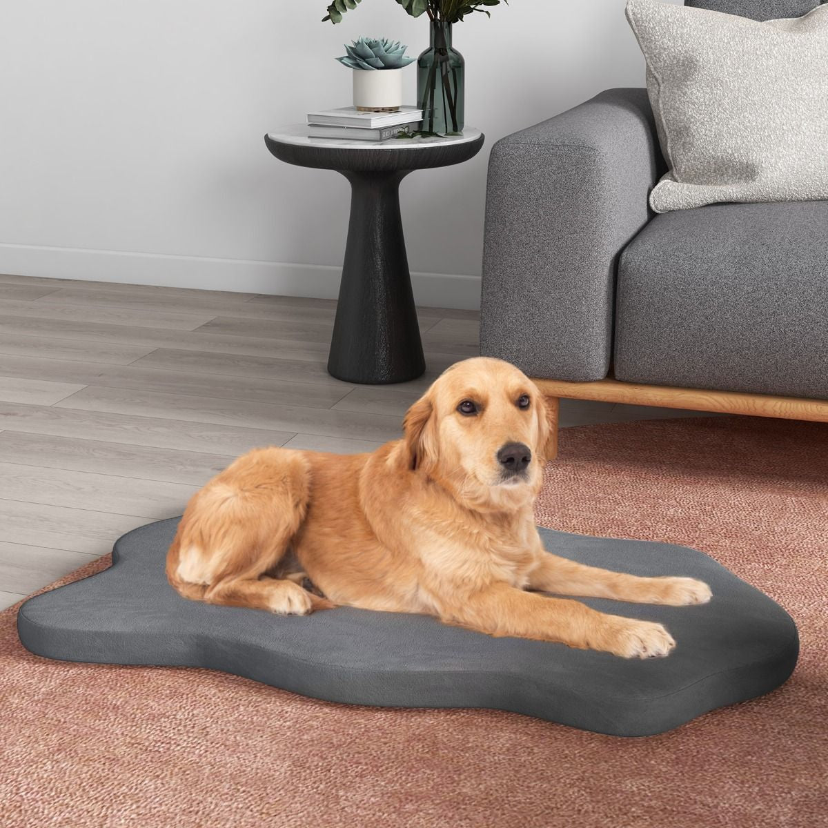 Cuscino per Cani Impermeabile, Cuscino Ortopedico per Cani Con Supporto in Memory Foam Copertura Rimovibile 2 Colori