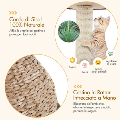 Albero per Gatti Da Interno Con Palo Tiragraffi in Sisal Naturale, Centro Attività Torre Con Pallina Appesa Marrone