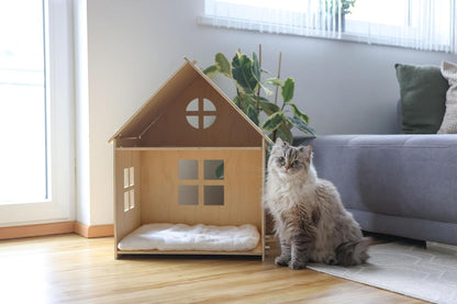 Casetta Gatti Yvi, Indoor, 50X38X67 Cm