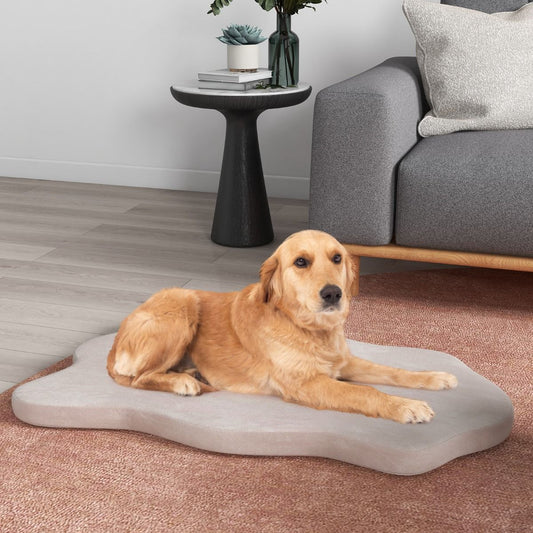 Cuscino per Cani Impermeabile, Cuscino Ortopedico per Cani Con Supporto in Memory Foam Copertura Rimovibile 2 Colori