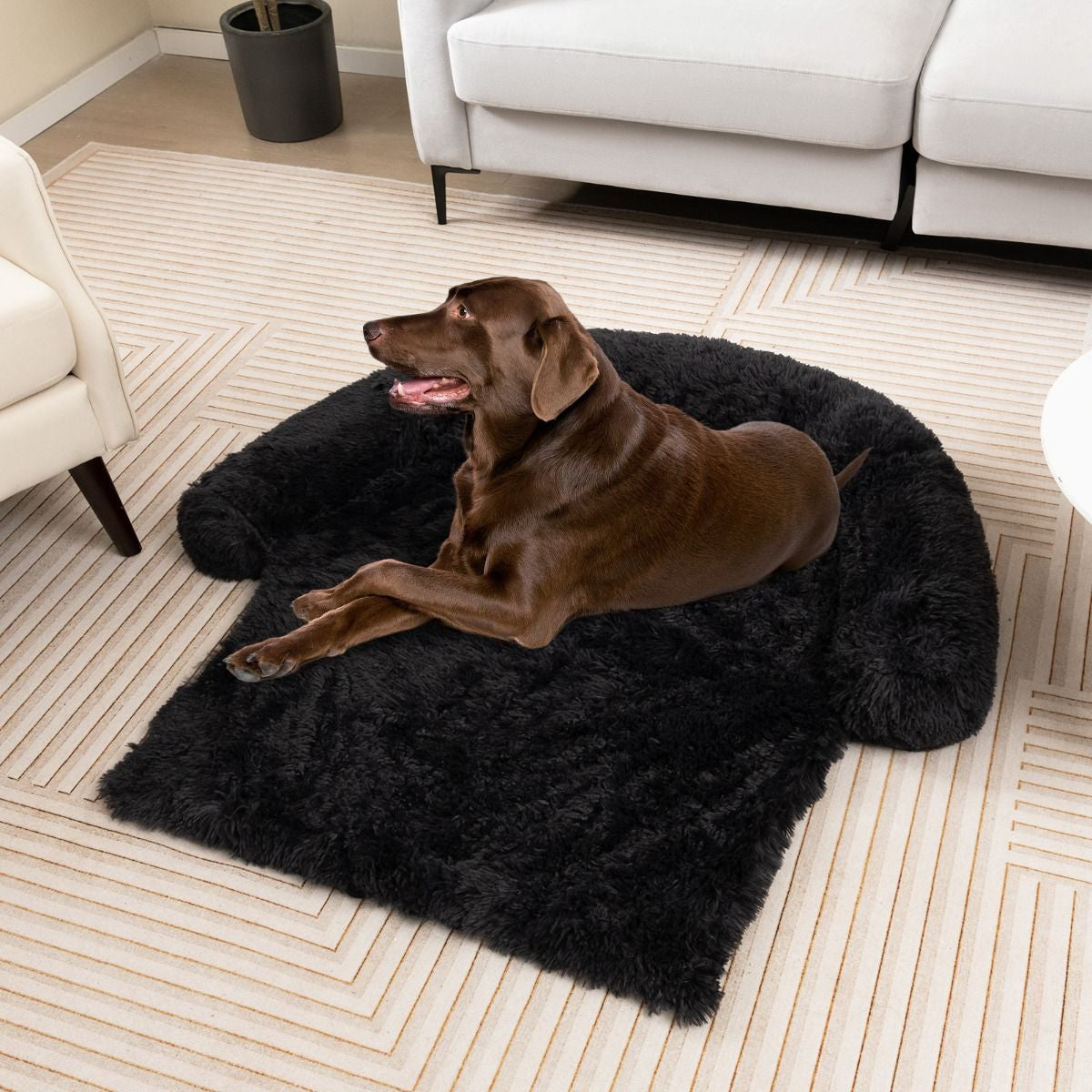 Cuccia per Cani in Peluche Con Fondo Antiscivolo Copertura Rimovibile E Lavabile, Letto Divano per Cani O Gatti 2 Colori 3 Dimensioni
