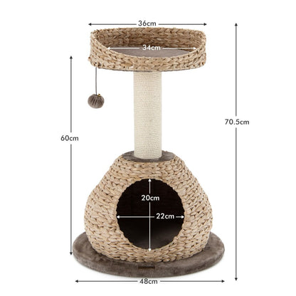 Albero per Gatti Da Interno Con Palo Tiragraffi in Sisal Naturale, Centro Attività Torre Con Pallina Appesa Marrone