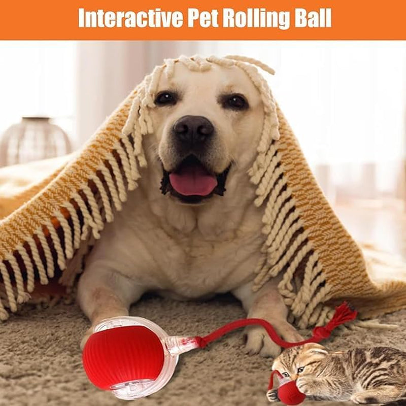 Interactive Rolling Dog Smart Ball - 360° Automatic Rotating Toy for Dogs & Cats (Red+Green)